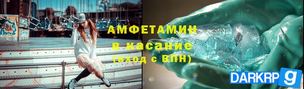 прущие грибы Валдай